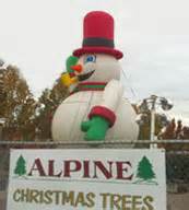 cheapest christmas trees bay area